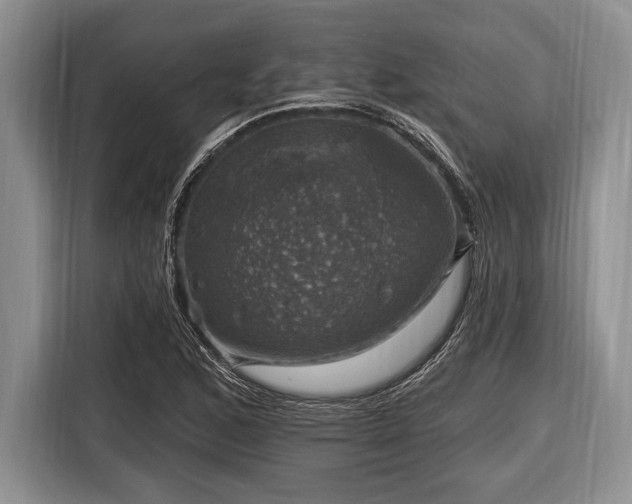 X0000116451168200912151254