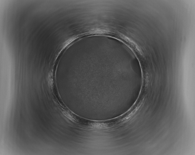 X0000116451170200912151254