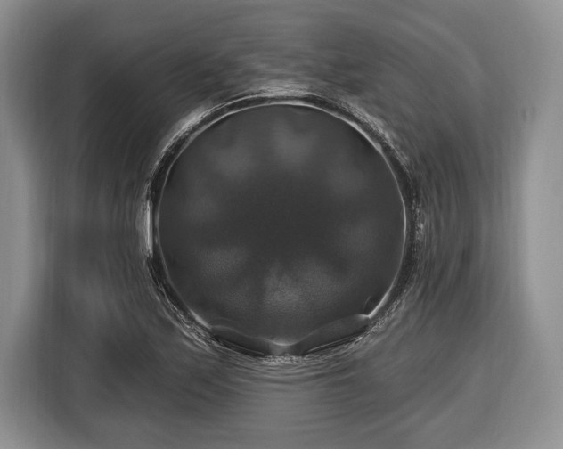 X0000116451171200912151254