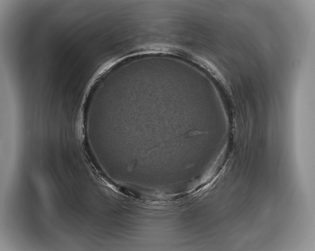 X0000116451172200912151254
