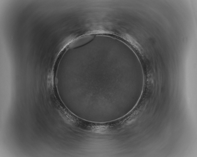 X0000116451173200912151254