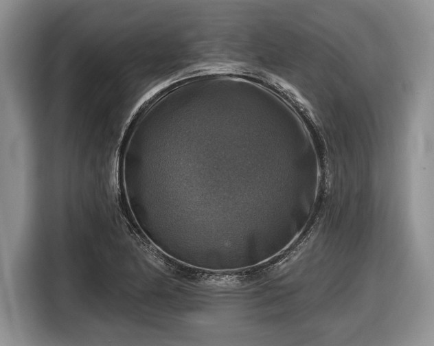 X0000116451174200912151254
