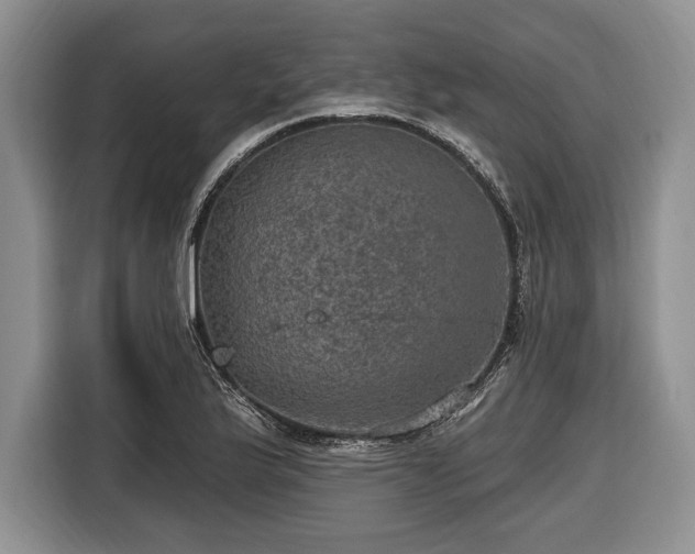 X0000116451175200912151254