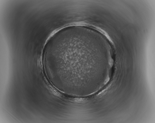 X0000116451176200912151254