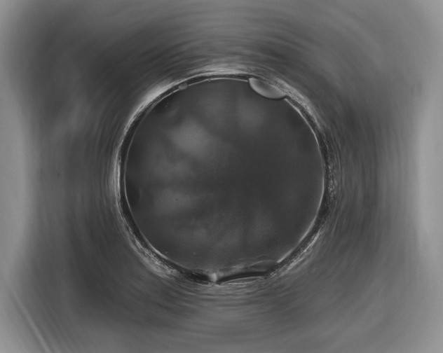 X0000116451179200912151254