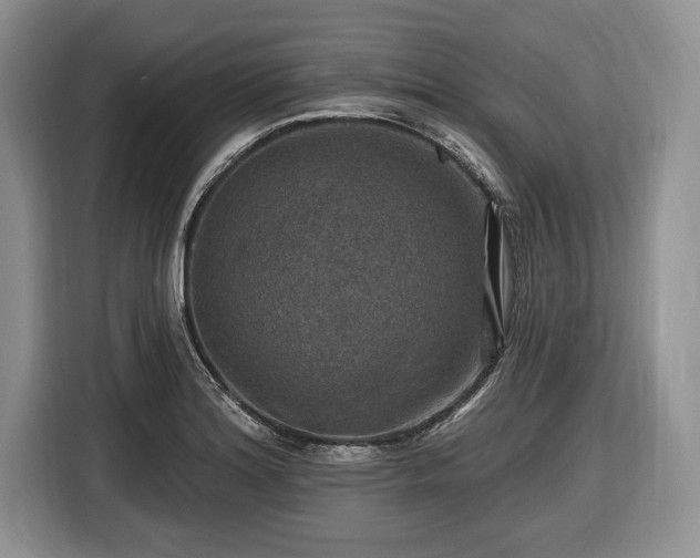 X0000116451180200912151254