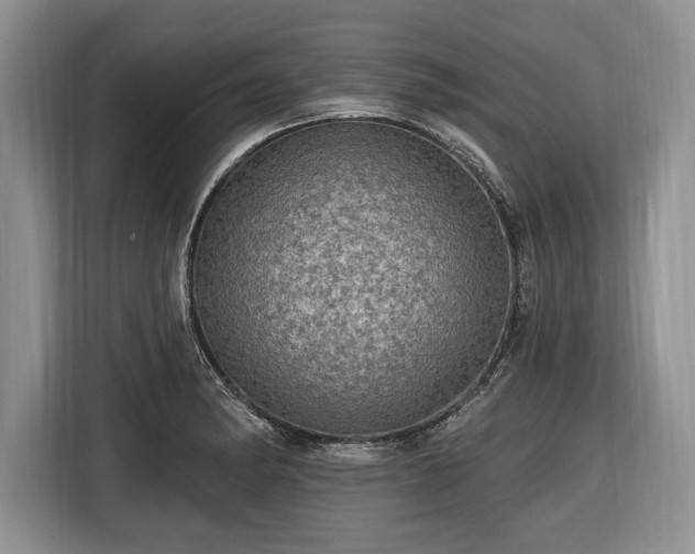 X0000116451182200912151254