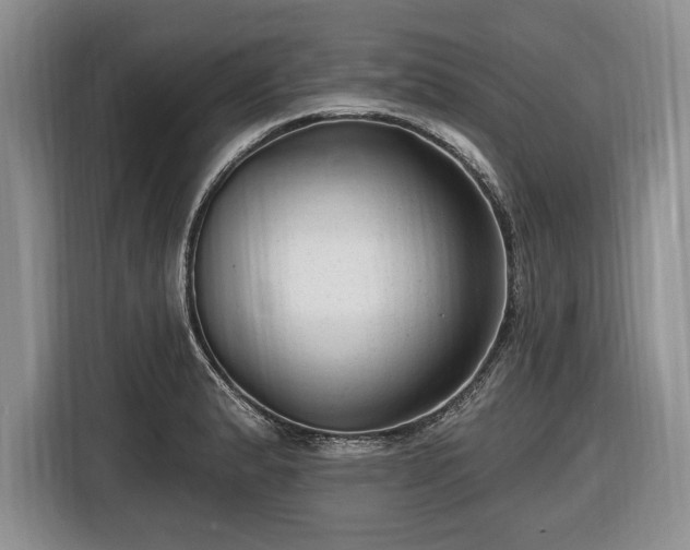 X0000116451183200912151254