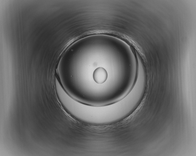 X0000116451185200912151254