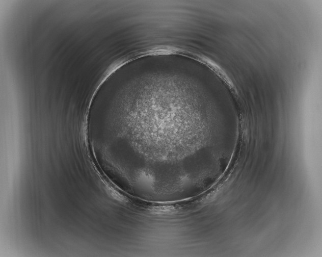 X0000116451186200912151254