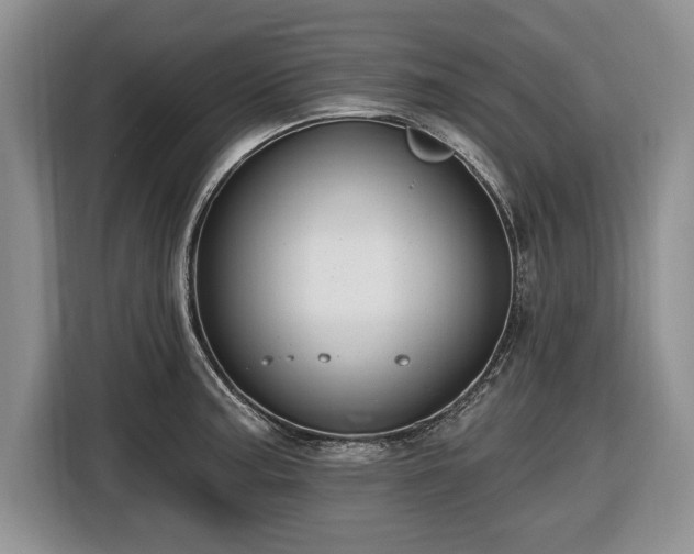 X0000116451187200912151254