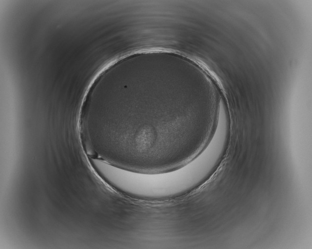 X0000116451189200912151254