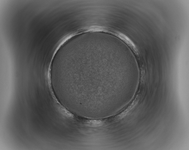 X0000116451190200912151254