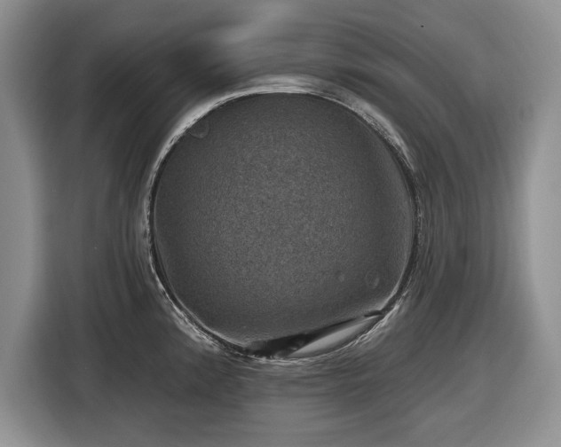 X0000116451192200912151254