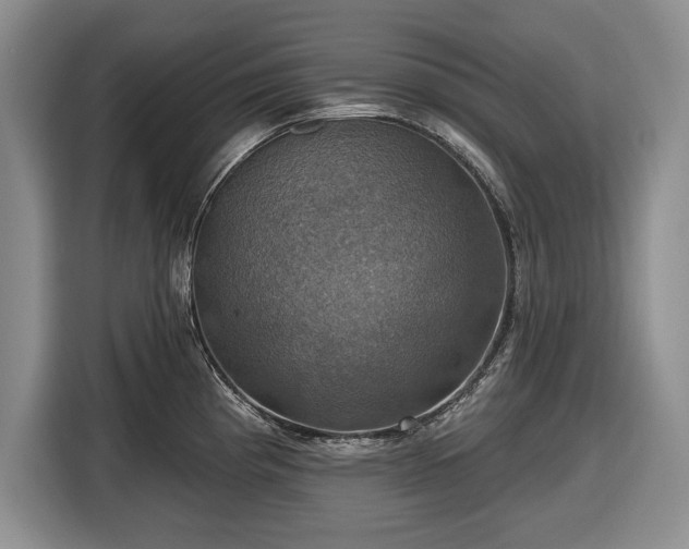 X0000116451193200912151254