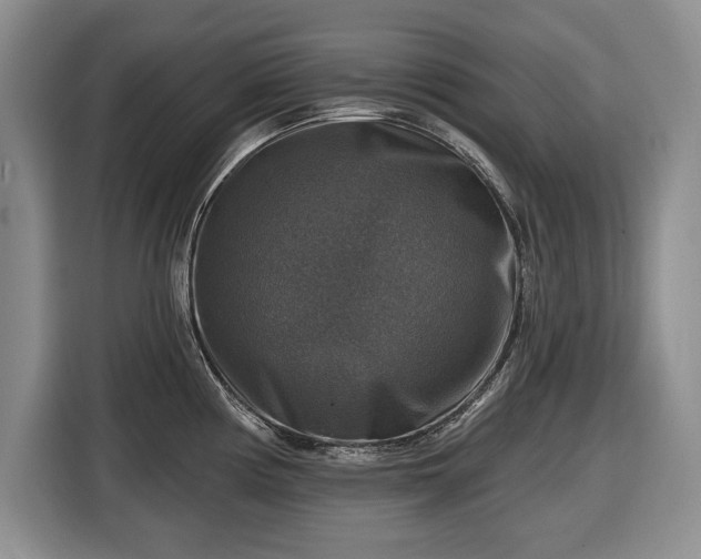 X0000116451194200912151254