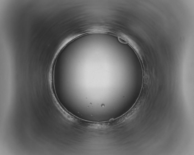 X0000116451195200912151254