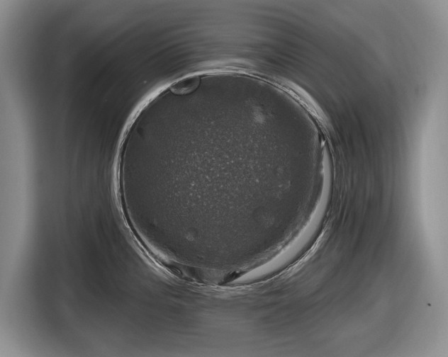 X0000116451196200912151254