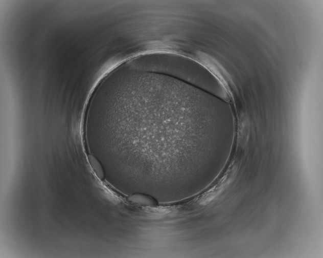 X0000116451197200912151254