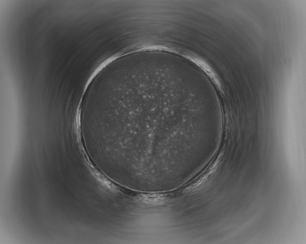 X0000116451198200912151254