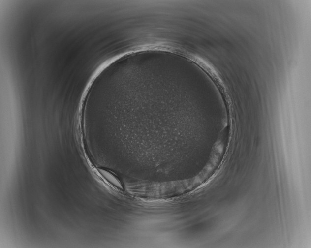 X0000116451200200912151254