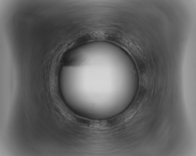 X0000116451201200912151253