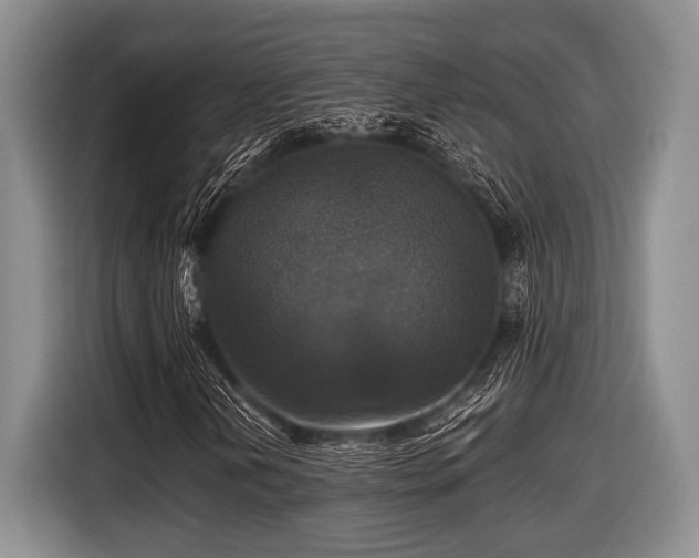 X0000116451202200912151253
