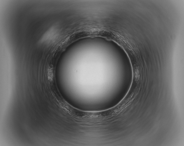 X0000116451204200912151253