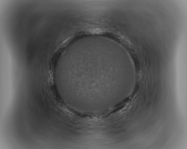 X0000116451205200912151253