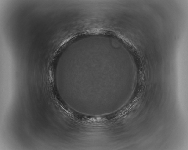 X0000116451206200912151253