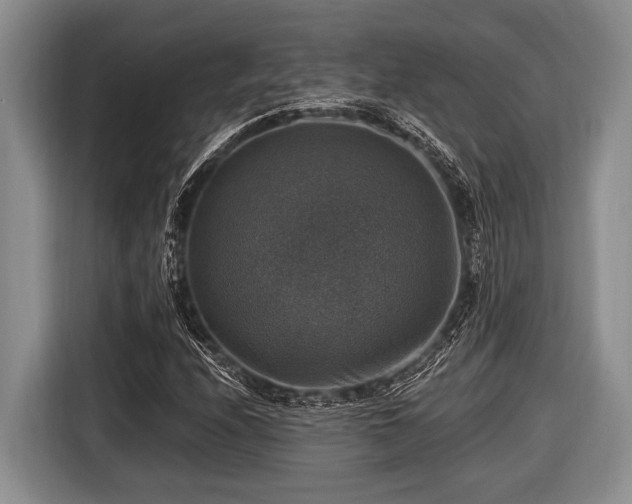 X0000116451208200912151253