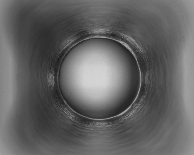 X0000116451209200912151253