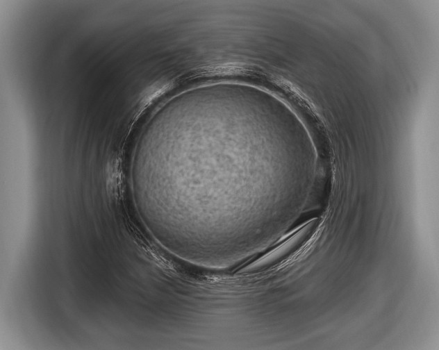 X0000116451210200912151253