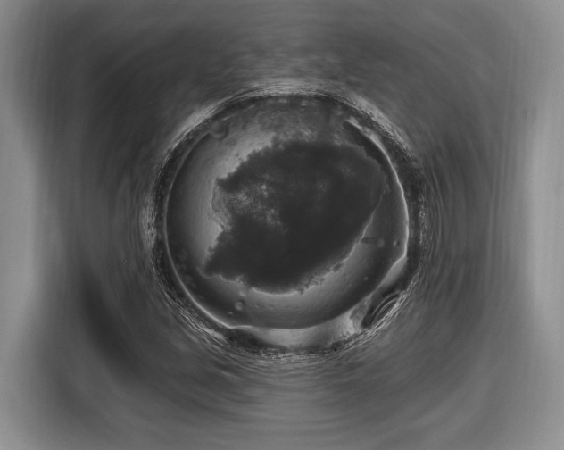 X0000116451213200912151253