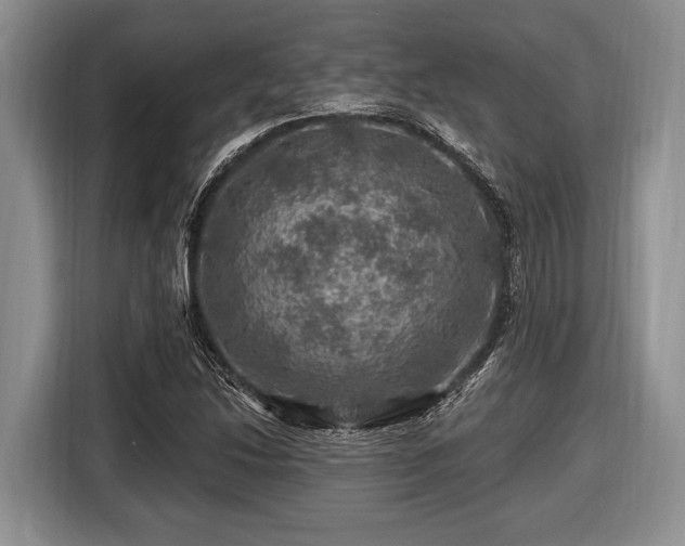X0000116451214200912151253