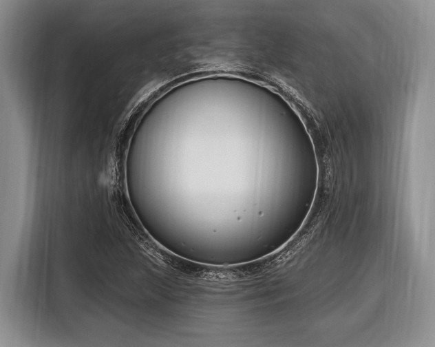 X0000116451215200912151253