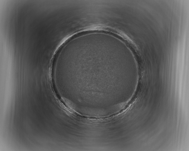 X0000116451216200912151253