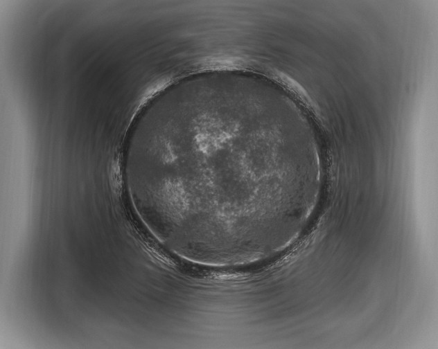 X0000116451218200912151253