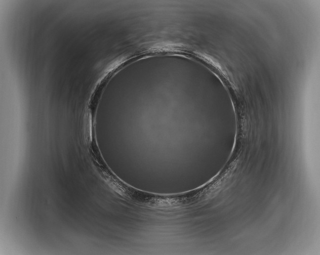 X0000116451219200912151253