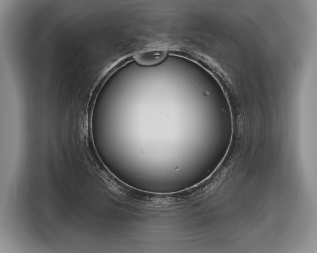 X0000116451220200912151253