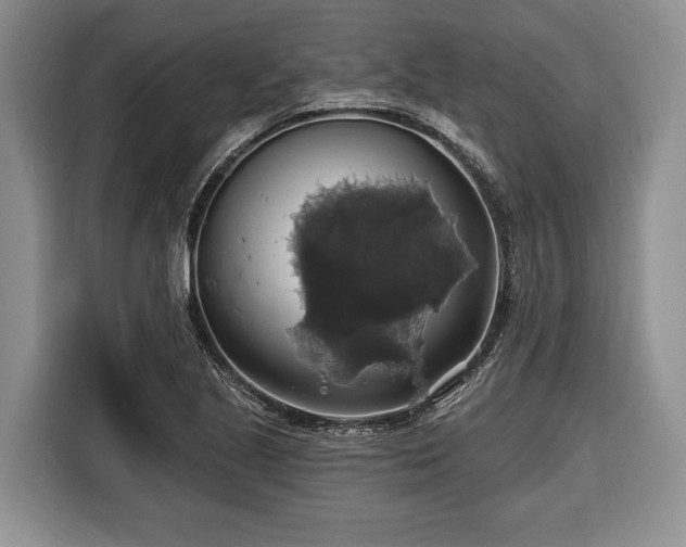 X0000116451221200912151253
