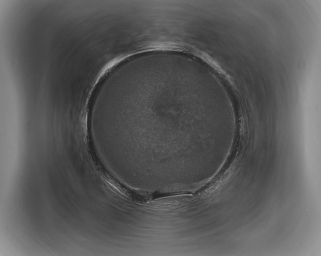 X0000116451222200912151253