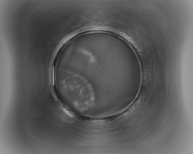 X0000116451223200912151253