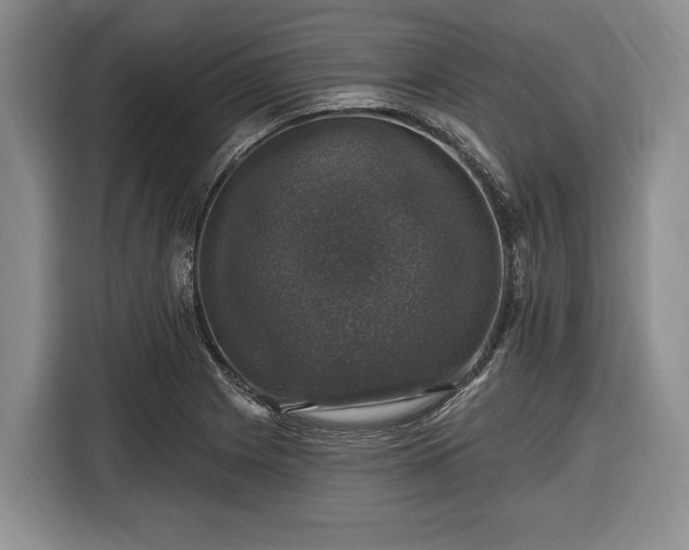 X0000116451225200912151253