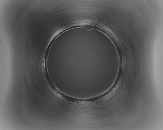 X0000116451226200912151253