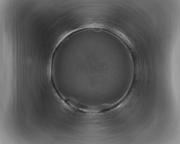 X0000116451228200912151253