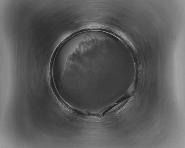 X0000116451229200912151253