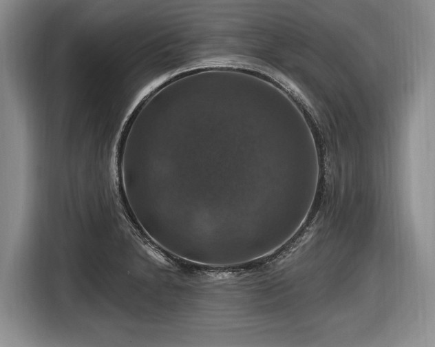 X0000116451230200912151253