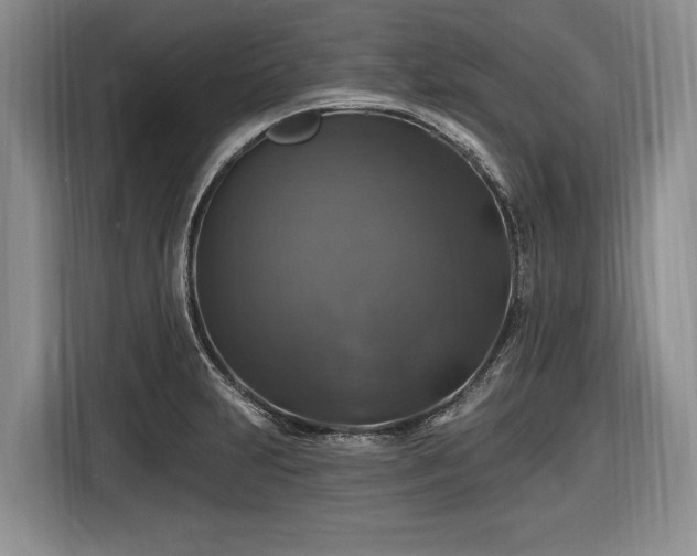 X0000116451231200912151253