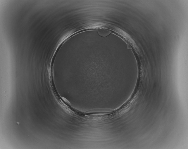 X0000116451234200912151253